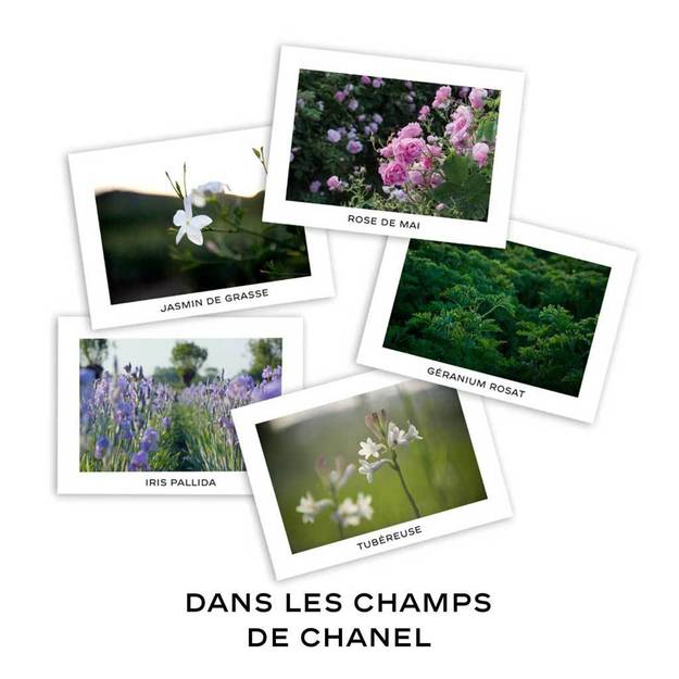 I Prefer Paris: Dans le Serres de Chanel and Jardins, Jardin in